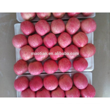 China Red Fuji Apples